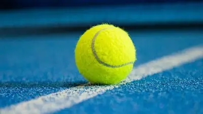 Pelota de pádel pelota de pádel profesional